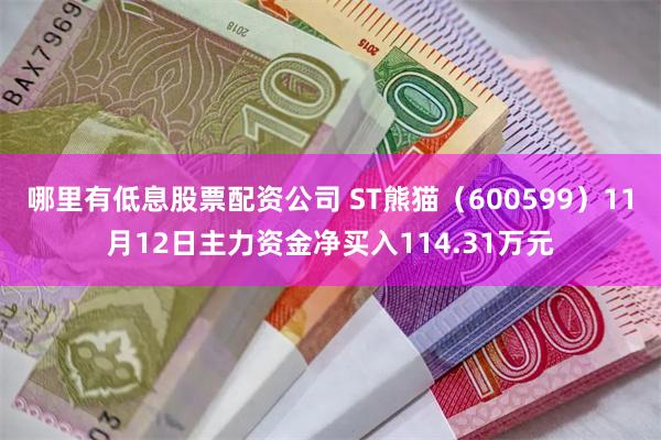 哪里有低息股票配资公司 ST熊猫（600599）11月12日主力资金净买入114.31万元