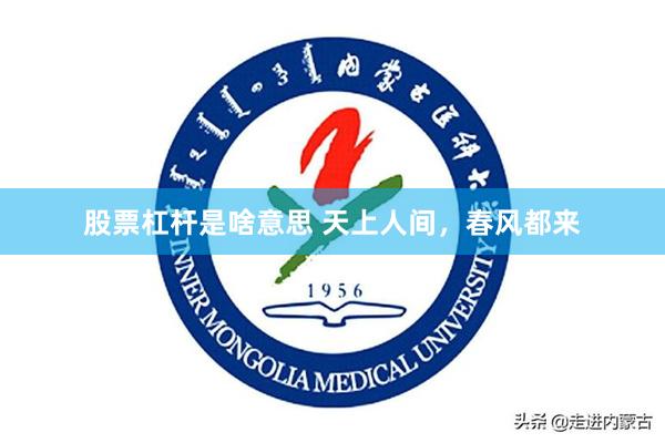 股票杠杆是啥意思 天上人间，春风都来