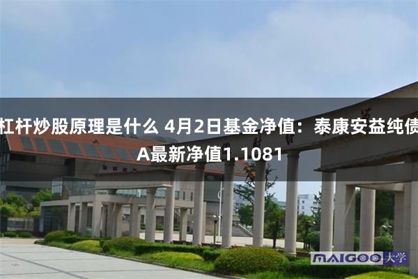 杠杆炒股原理是什么 4月2日基金净值：泰康安益纯债A最新净值1.1081