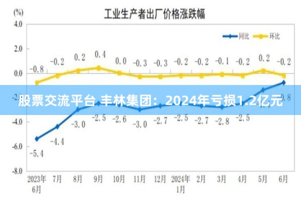 股票交流平台 丰林集团：2024年亏损1.2亿元