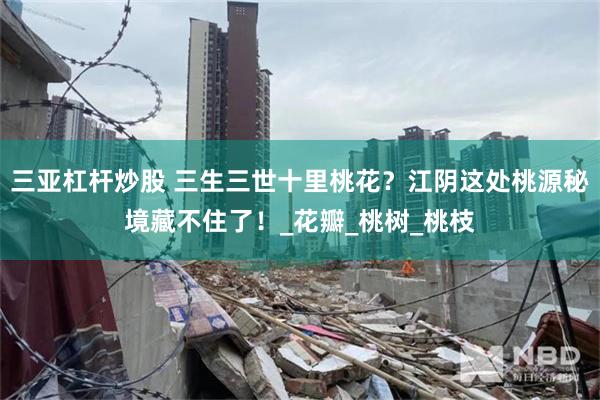 三亚杠杆炒股 三生三世十里桃花？江阴这处桃源秘境藏不住了！_花瓣_桃树_桃枝