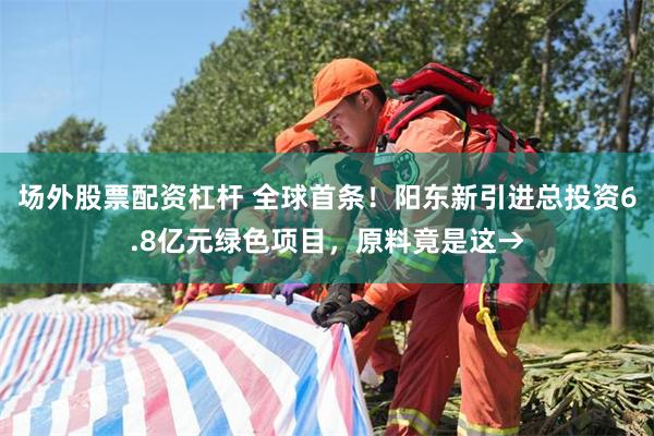 场外股票配资杠杆 全球首条！阳东新引进总投资6.8亿元绿色项目，原料竟是这→