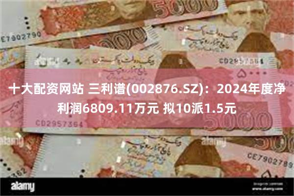 十大配资网站 三利谱(002876.SZ)：2024年度净利润6809.11万元 拟10派1.5元