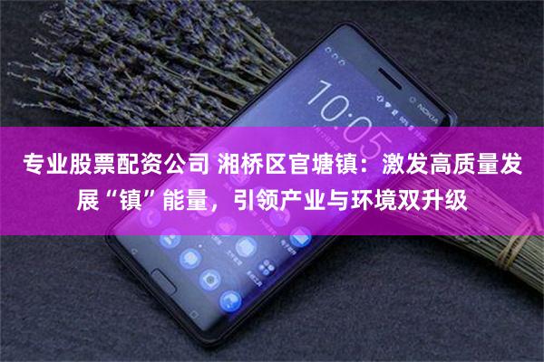 专业股票配资公司 湘桥区官塘镇：激发高质量发展“镇”能量，引领产业与环境双升级