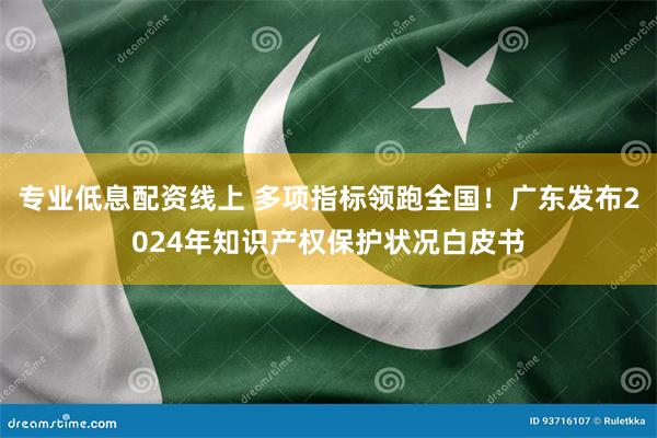 专业低息配资线上 多项指标领跑全国！广东发布2024年知识产权保护状况白皮书