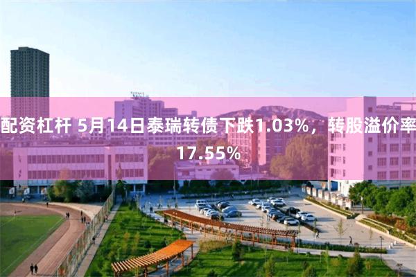 配资杠杆 5月14日泰瑞转债下跌1.03%，转股溢价率17.55%