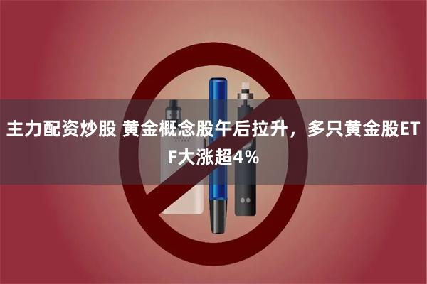 主力配资炒股 黄金概念股午后拉升，多只黄金股ETF大涨超4%