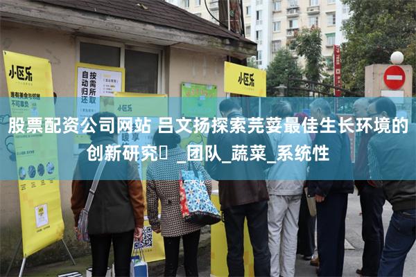 股票配资公司网站 吕文扬探索芫荽最佳生长环境的创新研究‌_团队_蔬菜_系统性