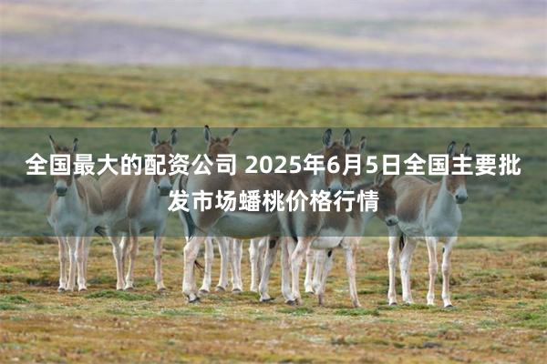 全国最大的配资公司 2025年6月5日全国主要批发市场蟠桃价格行情
