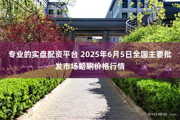 专业的实盘配资平台 2025年6月5日全国主要批发市场蛤蜊价格行情
