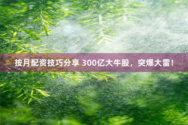 按月配资技巧分享 300亿大牛股，突爆大雷！