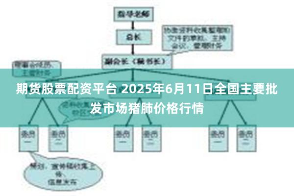 期货股票配资平台 2025年6月11日全国主要批发市场猪肺价格行情