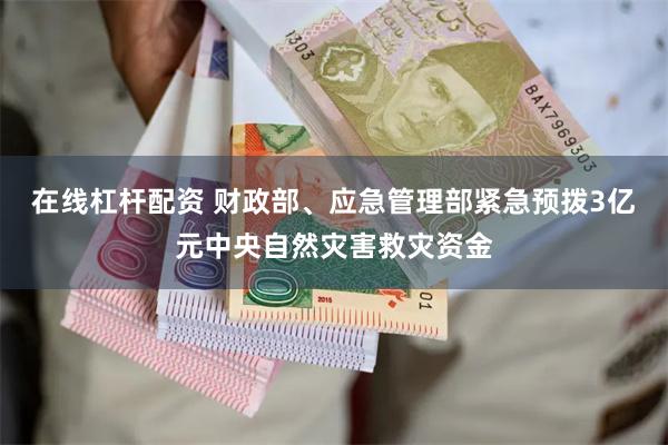 在线杠杆配资 财政部、应急管理部紧急预拨3亿元中央自然灾害救灾资金