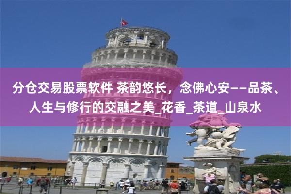 分仓交易股票软件 茶韵悠长，念佛心安——品茶、人生与修行的交融之美_花香_茶道_山泉水