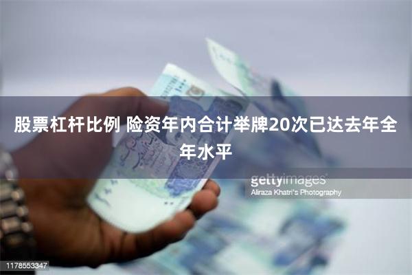 股票杠杆比例 险资年内合计举牌20次已达去年全年水平