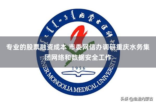 专业的股票融资成本 市委网信办调研重庆水务集团网络和数据安全工作