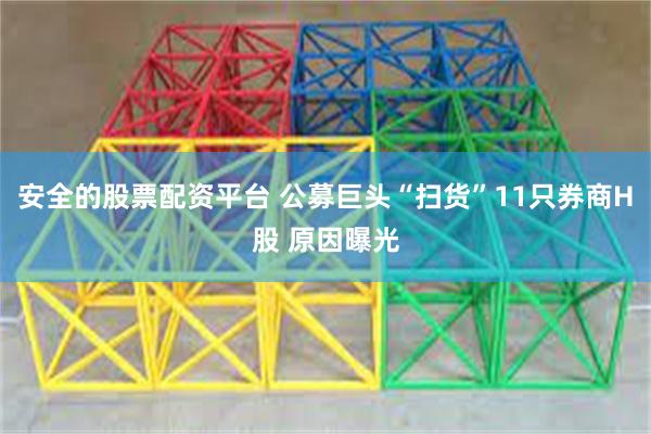 安全的股票配资平台 公募巨头“扫货”11只券商H股 原因曝光
