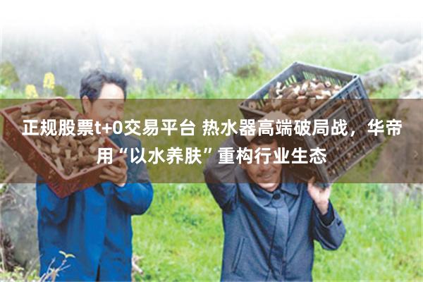 正规股票t+0交易平台 热水器高端破局战，华帝用“以水养肤”重构行业生态