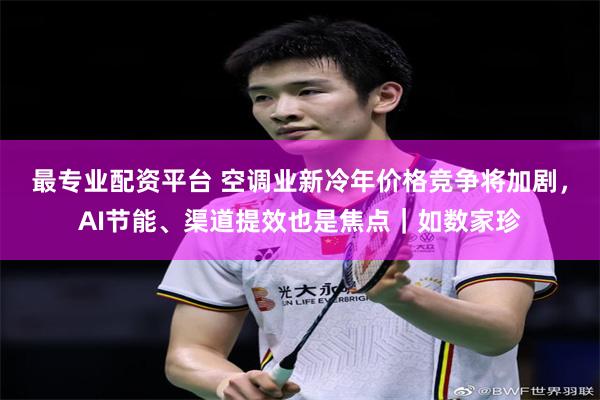 最专业配资平台 空调业新冷年价格竞争将加剧，AI节能、渠道提效也是焦点｜如数家珍