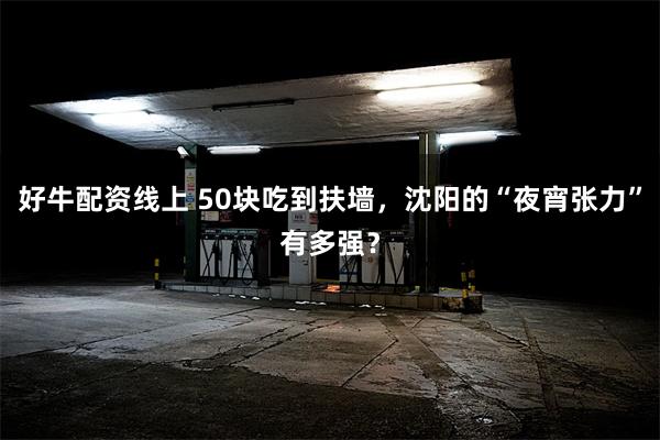 好牛配资线上 50块吃到扶墙，沈阳的“夜宵张力”有多强？