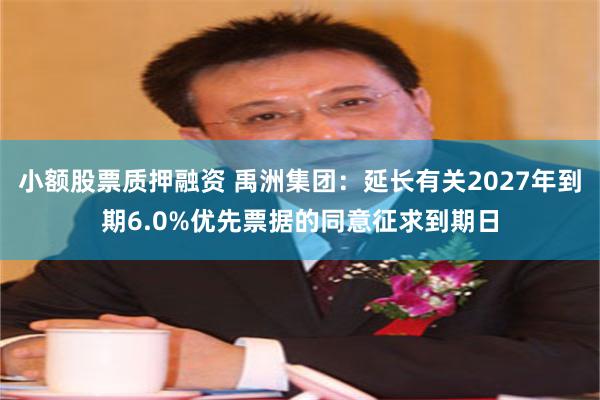 小额股票质押融资 禹洲集团：延长有关2027年到期6.0%优先票据的同意征求到期日