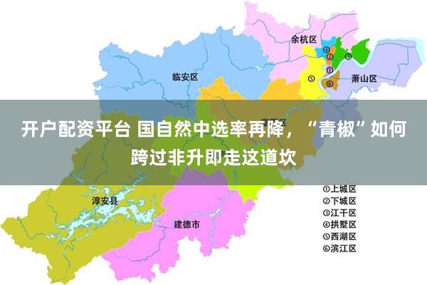 开户配资平台 国自然中选率再降，“青椒”如何跨过非升即走这道坎