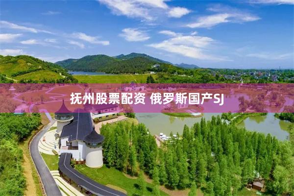 抚州股票配资 俄罗斯国产SJ